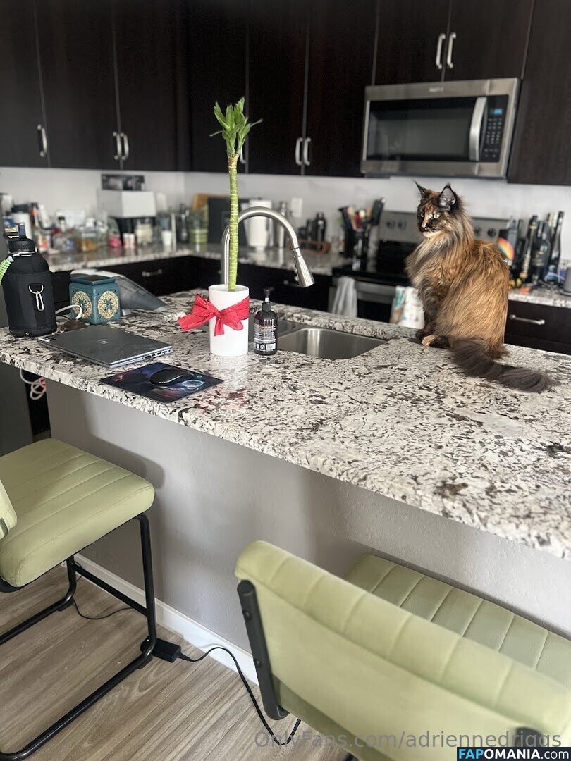 adrienne.driggs / adriennedriggs Nago OnlyFans  Przeciekłe zdjęcie #9