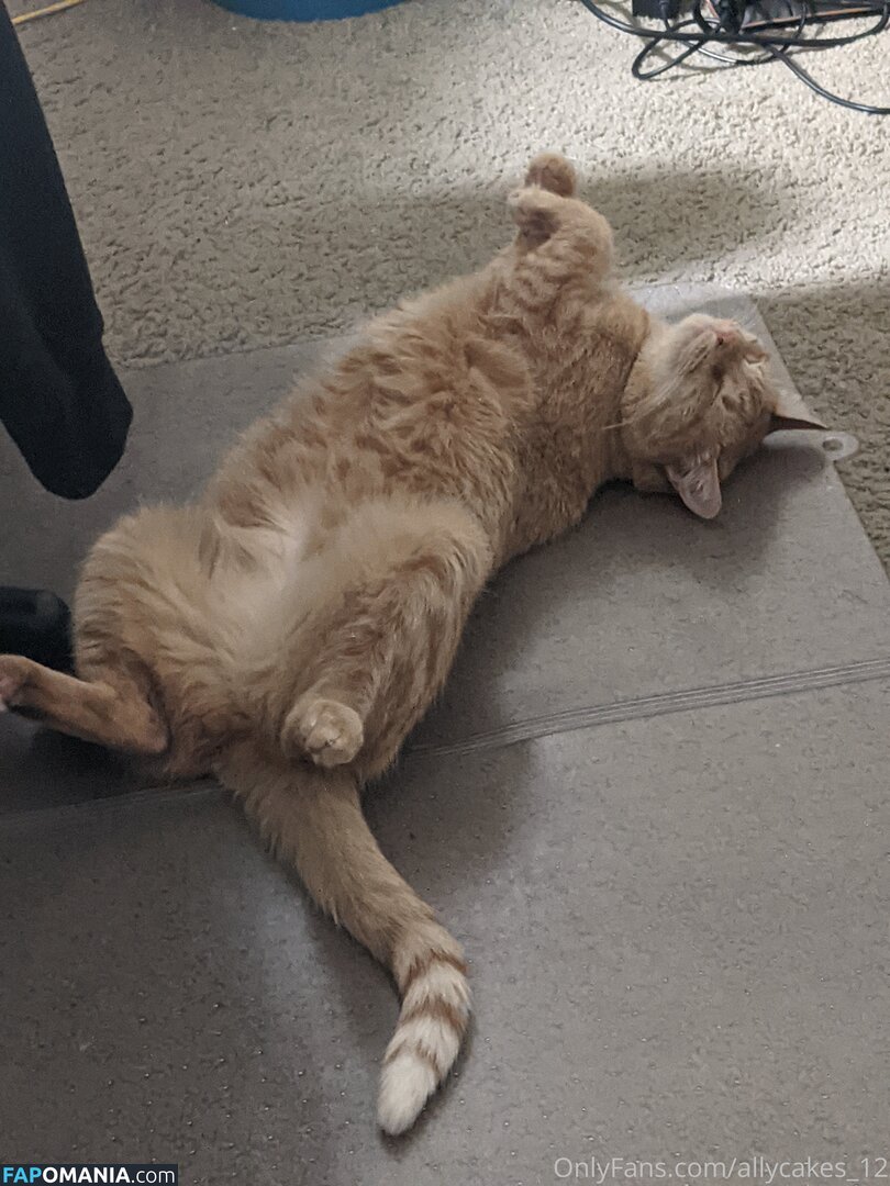 allycakes_12 Nago OnlyFans  Przeciekłe zdjęcie #3