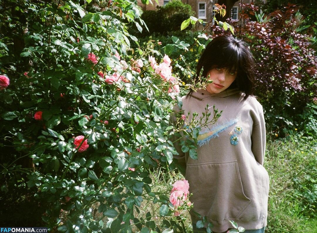 Billie Eilish / Fake / billeeilish / billieeilish Nago OnlyFans  Przeciekłe zdjęcie #2228