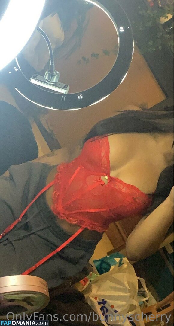 Bunnyscherry / bunnycherry4741 Nago OnlyFans  Przeciekłe zdjęcie #14