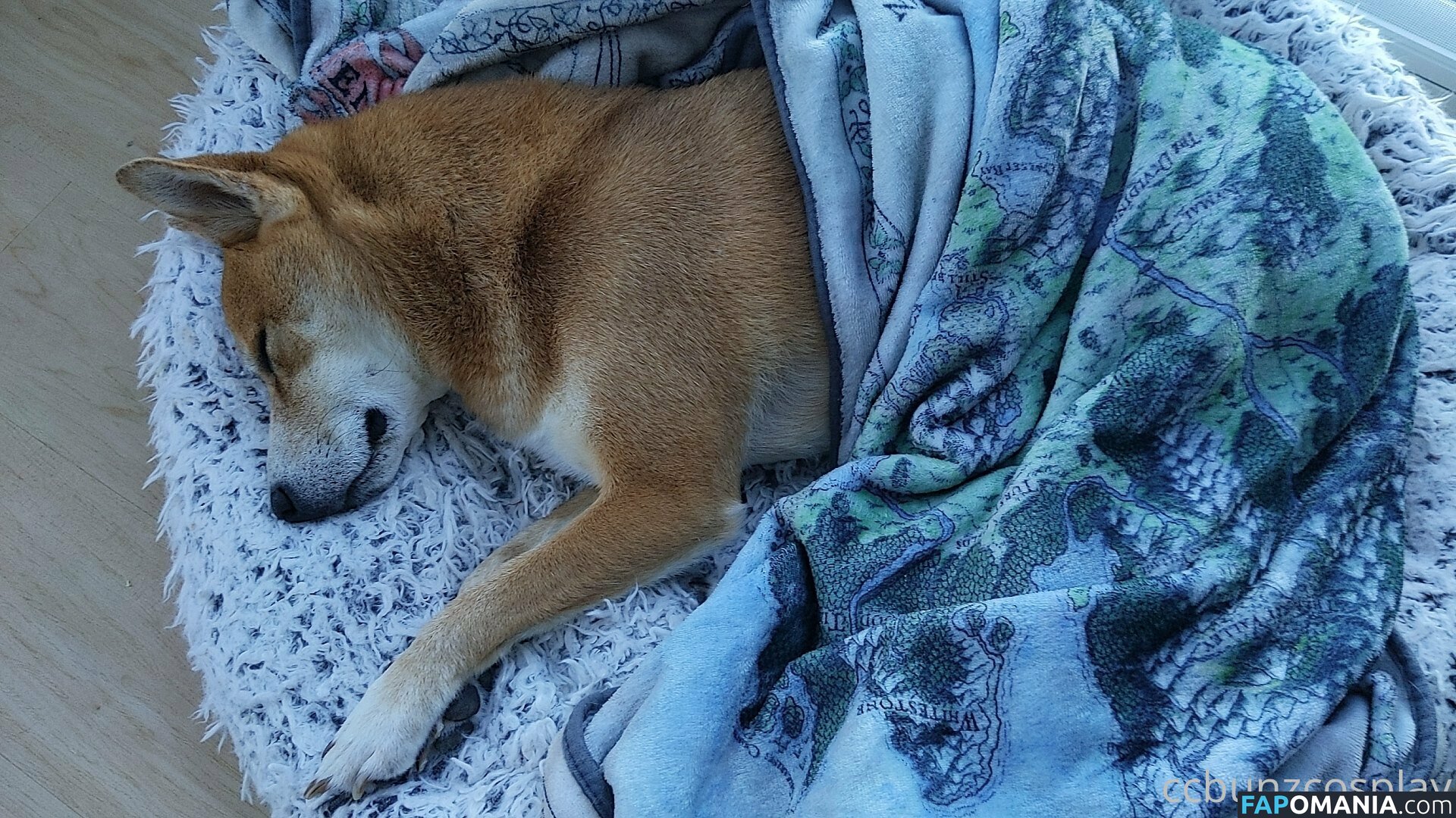 CCBunzCosplay / Ccbunz / officialccbunz Nago OnlyFans  Przeciekłe zdjęcie #51