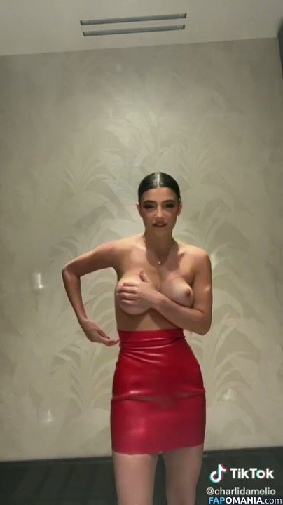 Charli D'Amelio / Charli Damelio / charlidamelio / charliesdamelio Nago OnlyFans  Przeciekłe zdjęcie #72