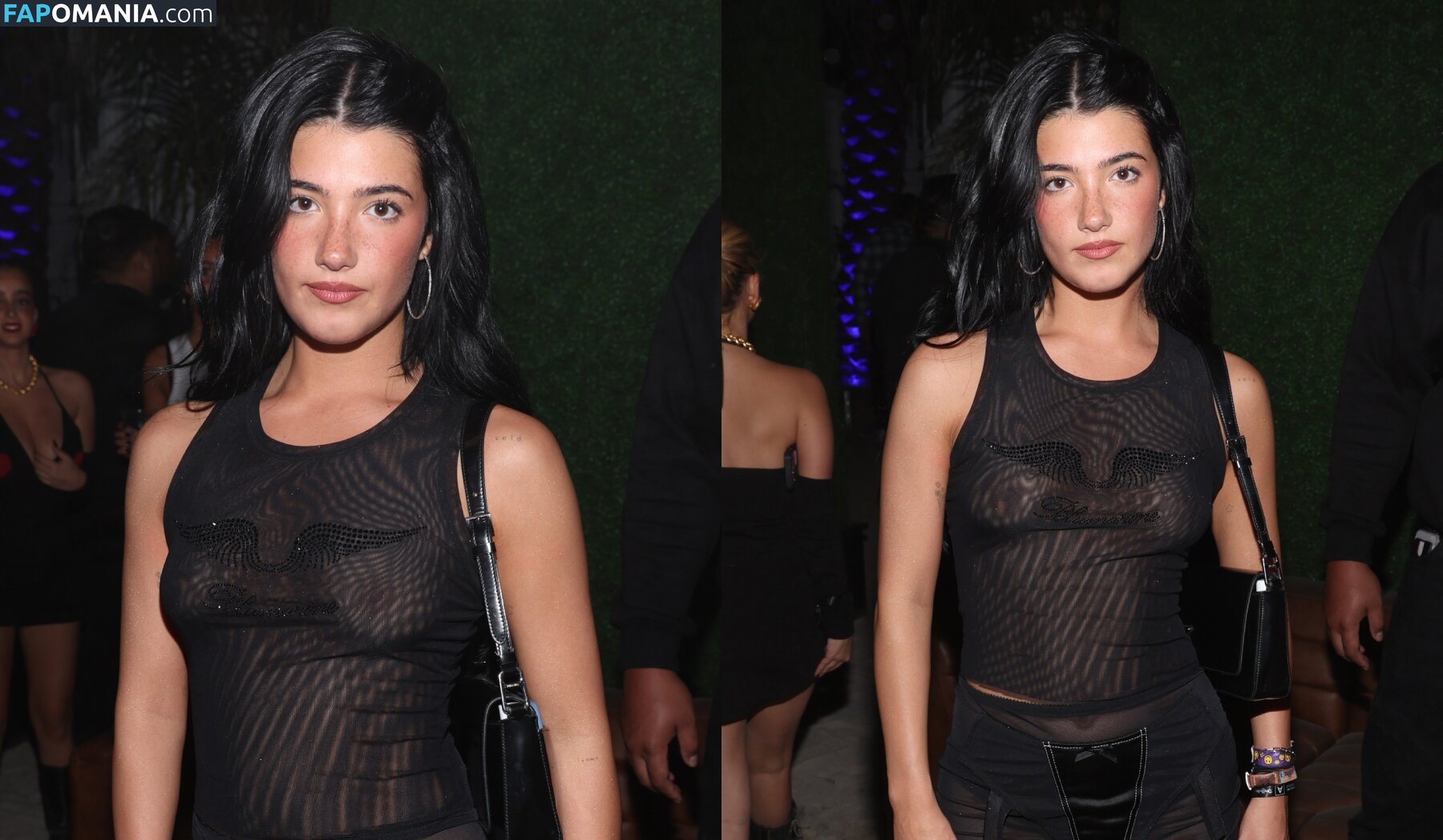 Charli D'Amelio / Charli Damelio / charlidamelio / charliesdamelio Nago OnlyFans  Przeciekłe zdjęcie #1550