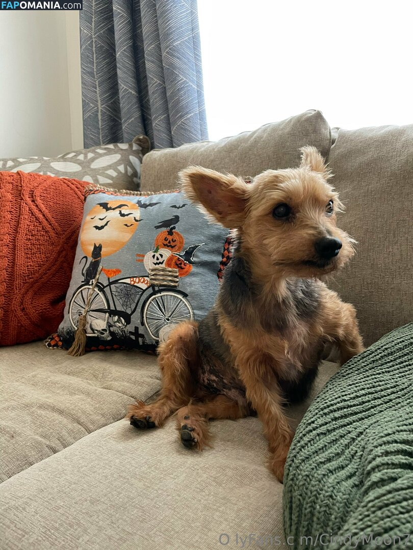 cindymoon007 / cindymoon7 Nago OnlyFans  Przeciekłe zdjęcie #280