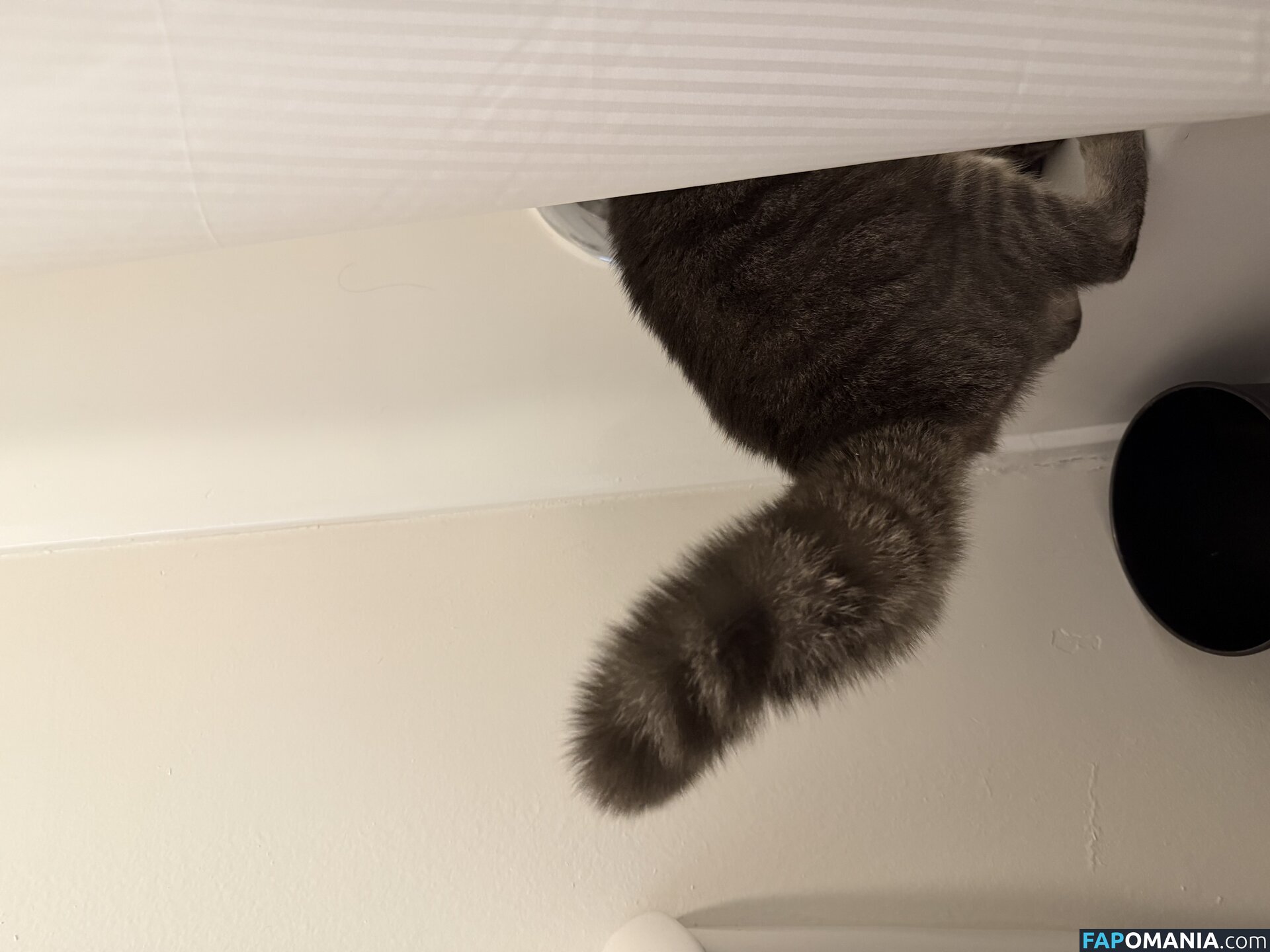 dahniks / dahnikz Nago OnlyFans  Przeciekłe zdjęcie #15