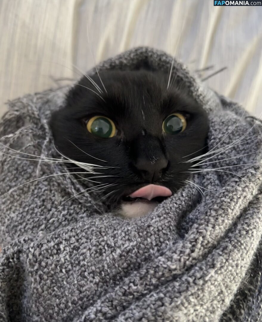 dahniks / dahnikz Nago OnlyFans  Przeciekłe zdjęcie #19