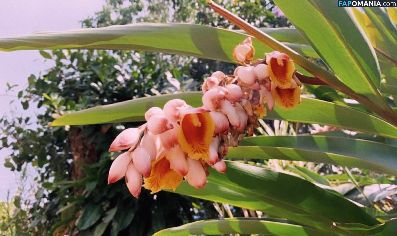 Erin Ashford / erinashford / erincaity Nago OnlyFans  Przeciekłe zdjęcie #11