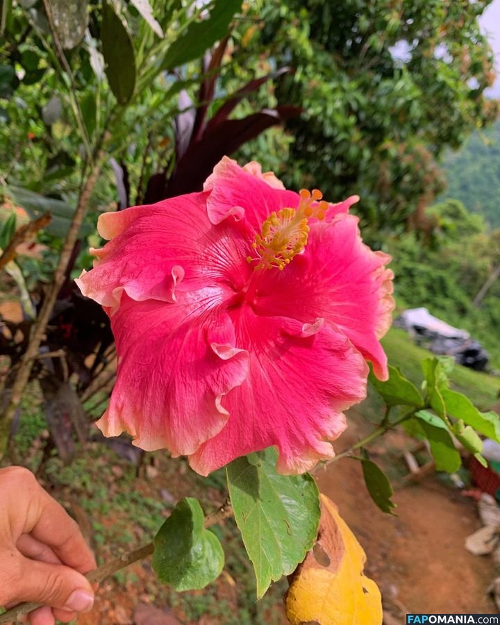 Erin Ashford / erinashford / erincaity Nago OnlyFans  Przeciekłe zdjęcie #26