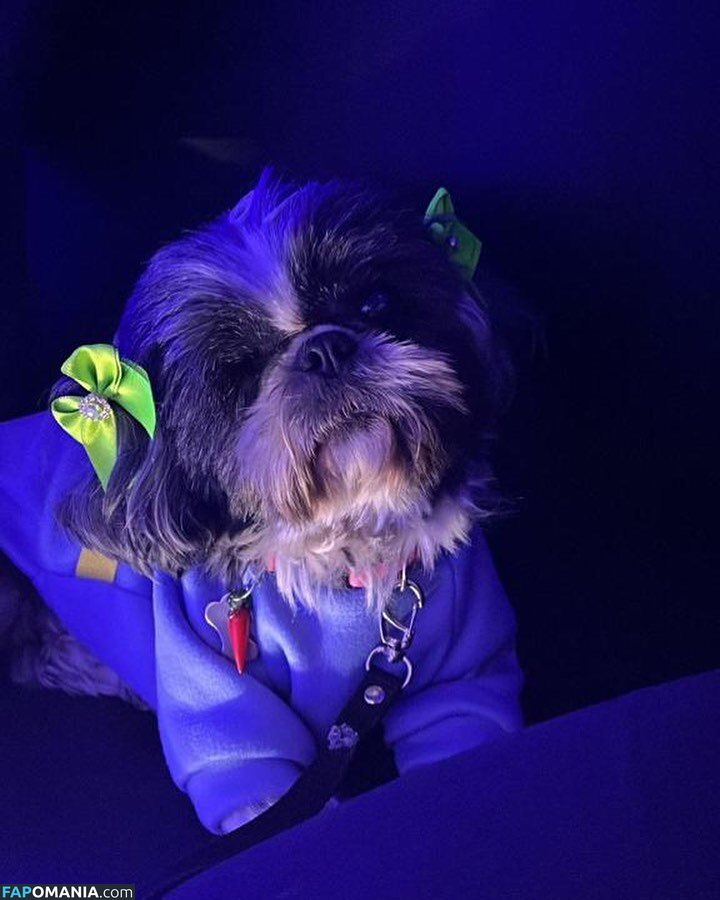 _estela_tessaro / estela / estelagomez / thirdeyewitchh Nago OnlyFans  Przeciekłe zdjęcie #57