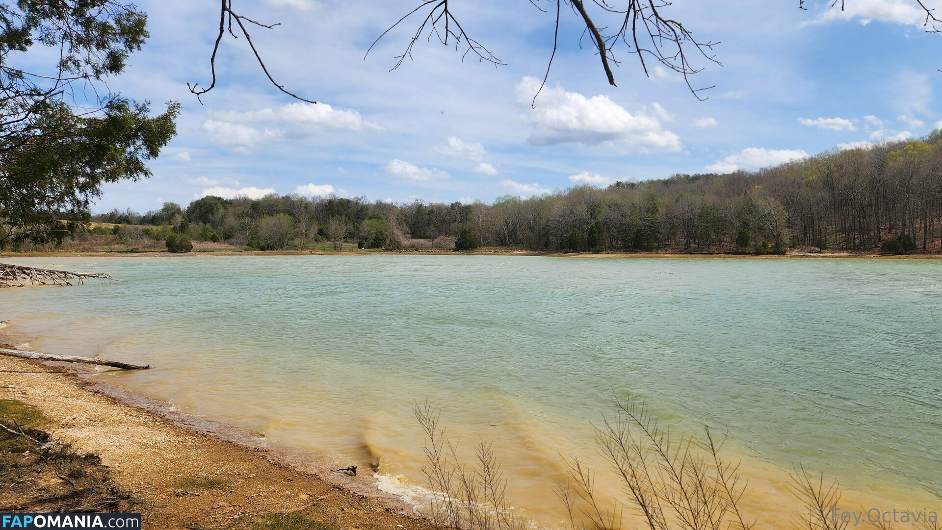 fey.octavia.free / feyoctavia Nago OnlyFans  Przeciekłe zdjęcie #7