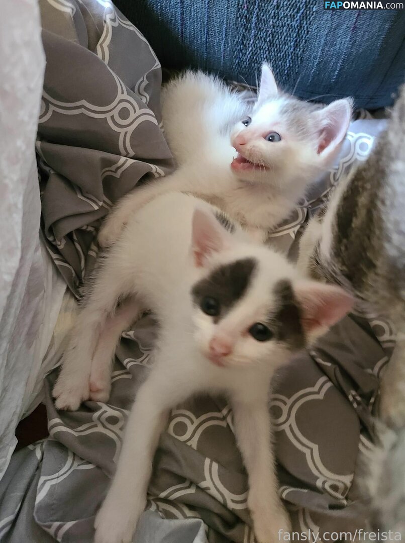 Freista / Tittykona / _mofreitas Nago OnlyFans  Przeciekłe zdjęcie #16