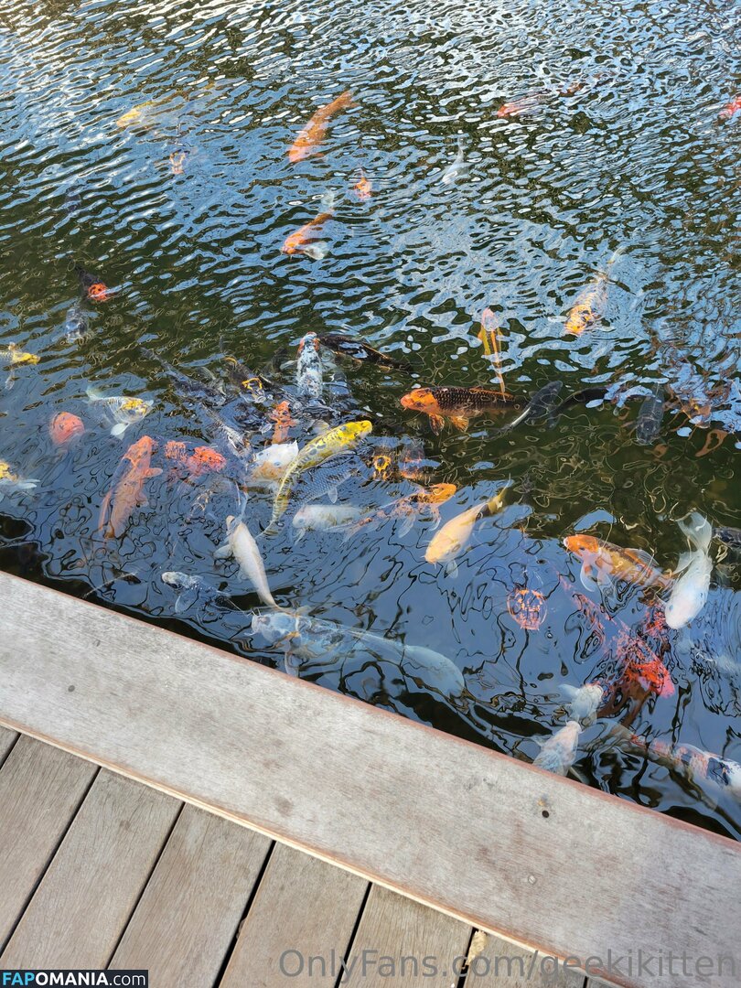 geekikitten / geekykittenxo Nago OnlyFans  Przeciekłe zdjęcie #4