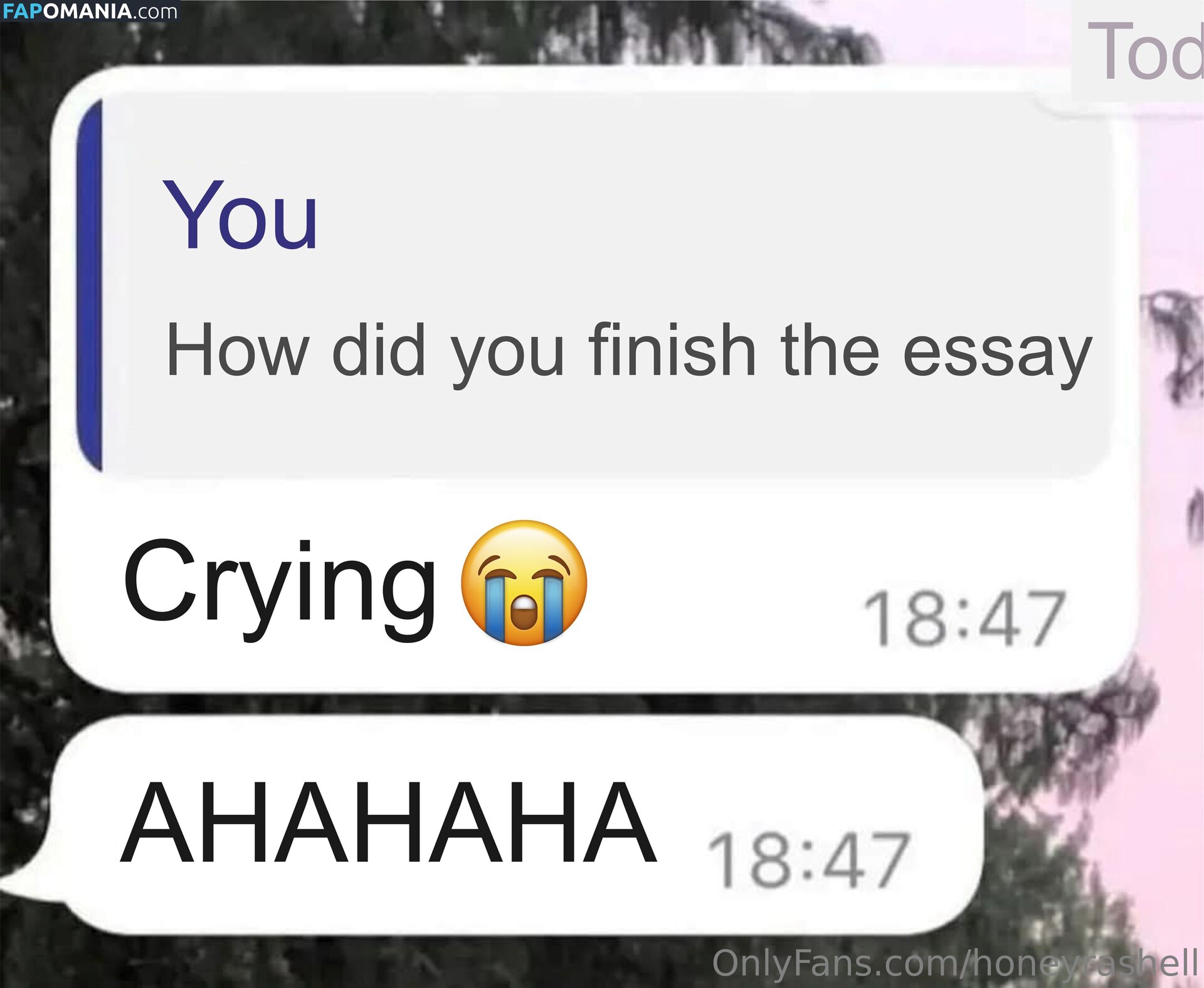 honeyrashell / honeyrashelll Nago OnlyFans  Przeciekłe zdjęcie #12