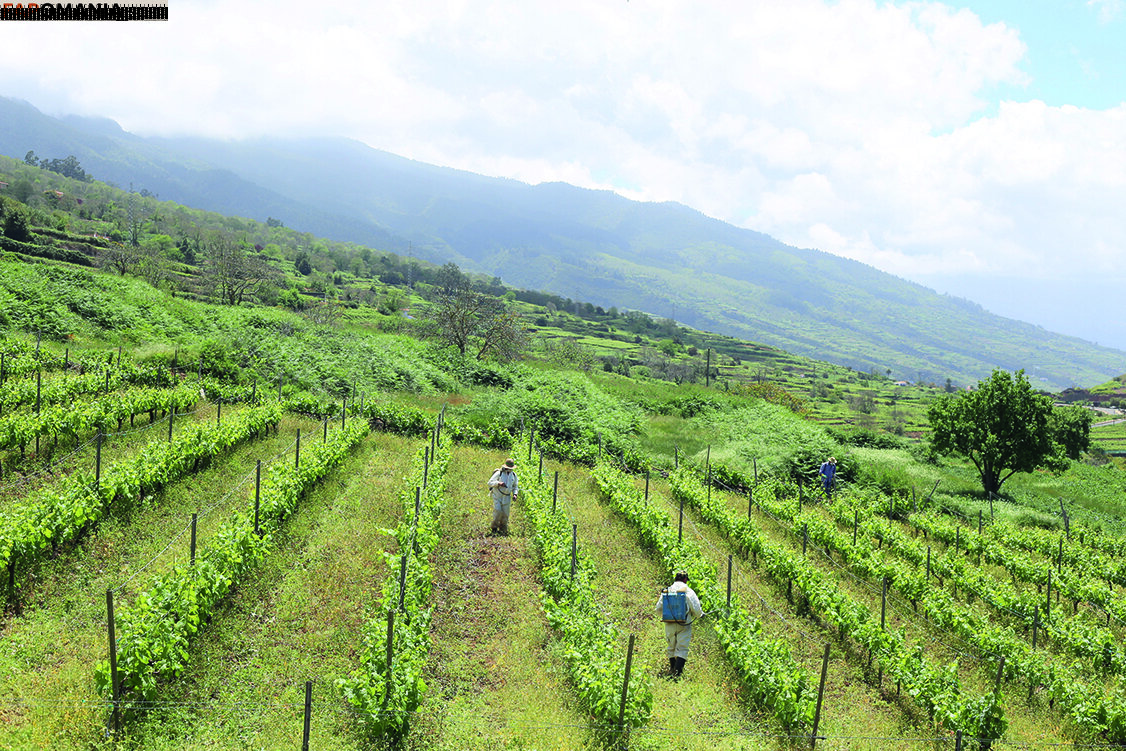 julia_lyn Nago OnlyFans  Przeciekłe zdjęcie #10