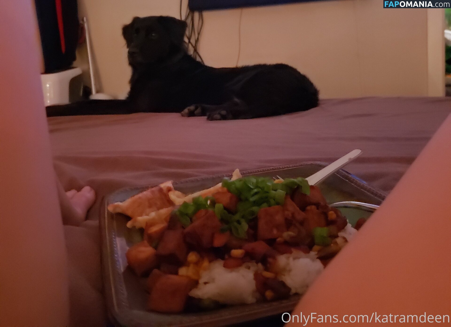 Katherine Ramdeen Nago OnlyFans  Przeciekłe zdjęcie #14