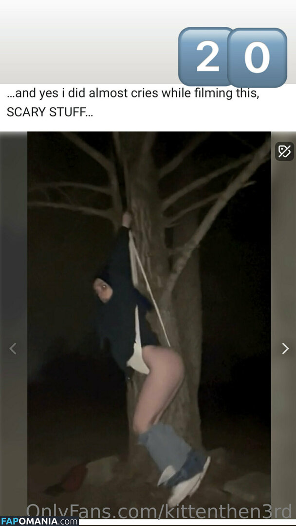 kittenthen3rd Nago OnlyFans  Przeciekłe zdjęcie #12