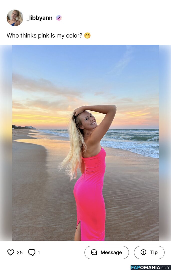 Elizabeth Gill / _libbyann / fitnessblondie69 / hunnaxlib Nago OnlyFans  Przeciekłe zdjęcie #38