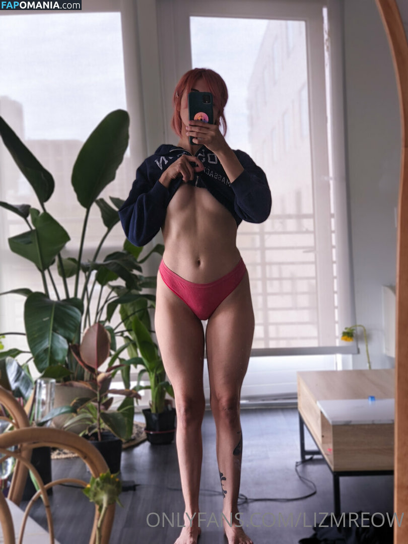 Lizmreow / lizmeow Nago OnlyFans  Przeciekłe zdjęcie #19