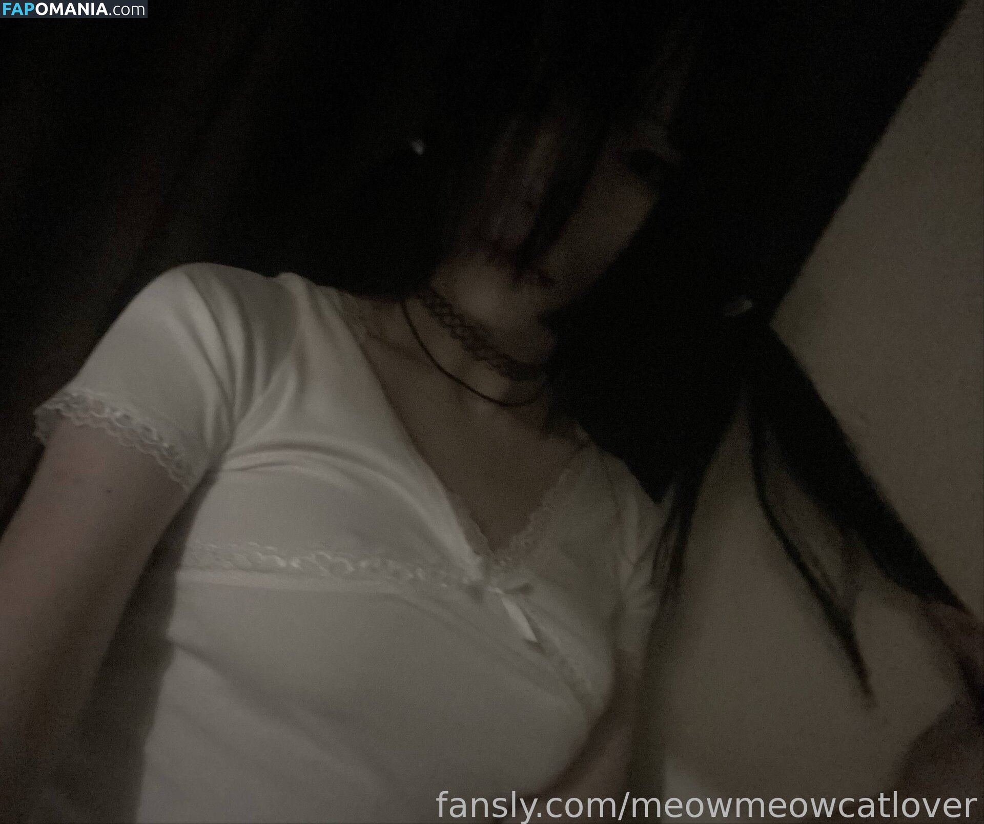 meow.meow.cat.lovers / meowmeowcatlover Nago OnlyFans  Przeciekłe zdjęcie #5