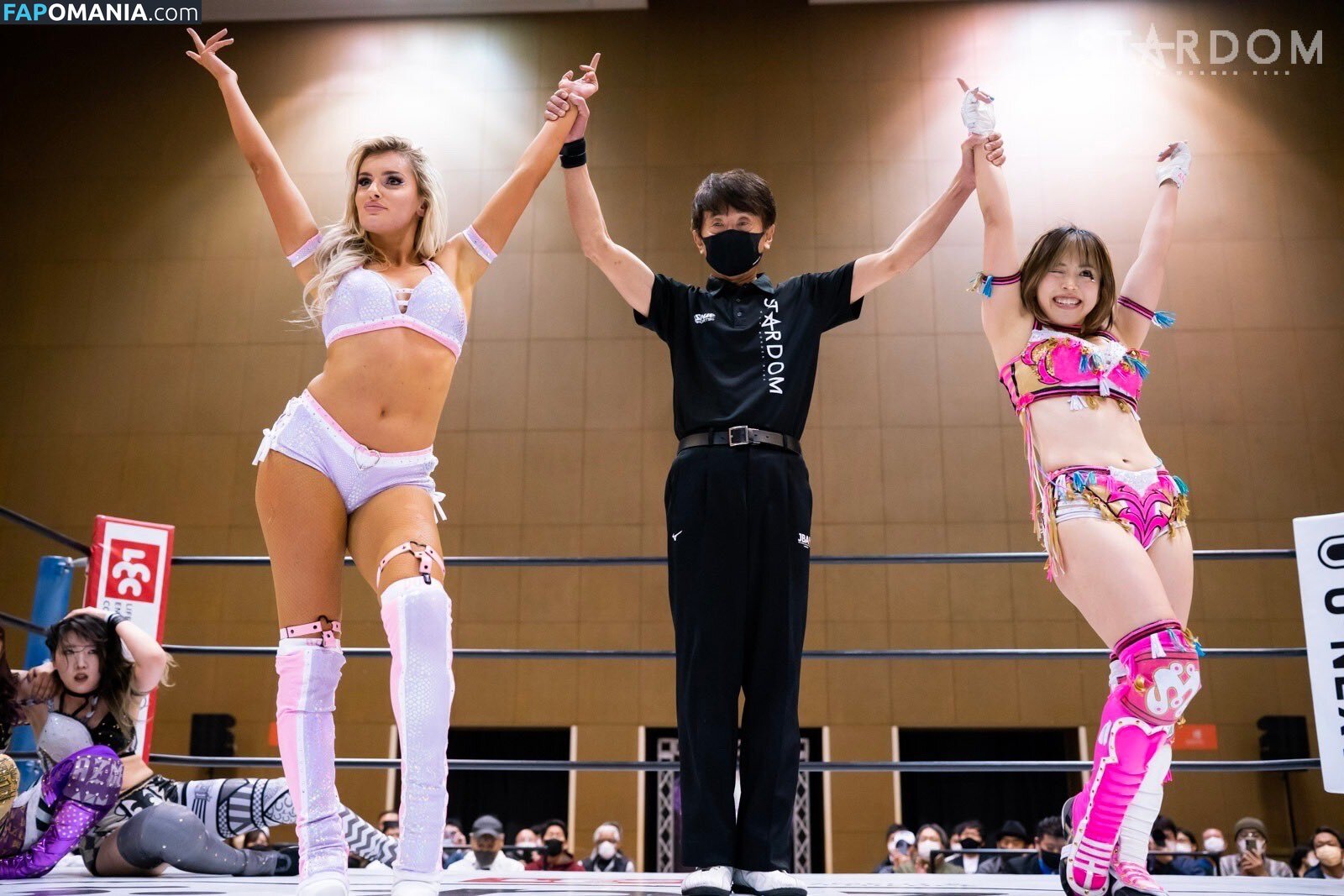 Mina Shirakawa / mina_shirakawa Nago OnlyFans  Przeciekłe zdjęcie #1122