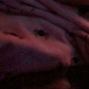 nofacej19