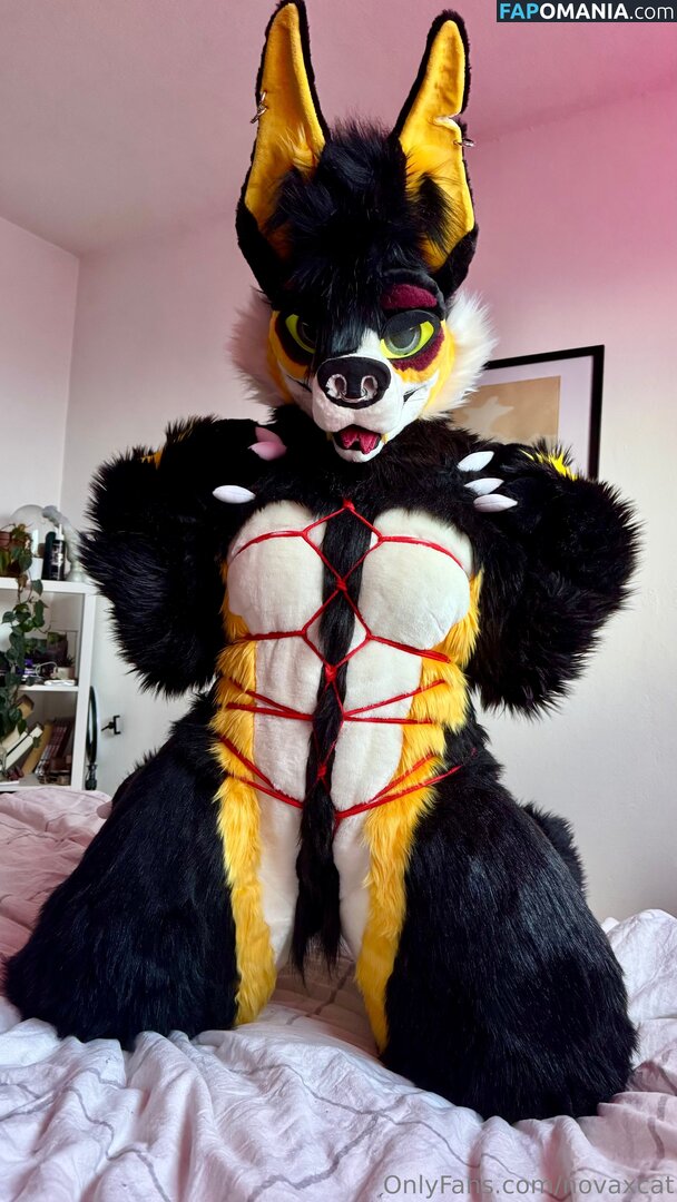 novaxcat / novaxxcat Nago OnlyFans  Przeciekłe zdjęcie #1