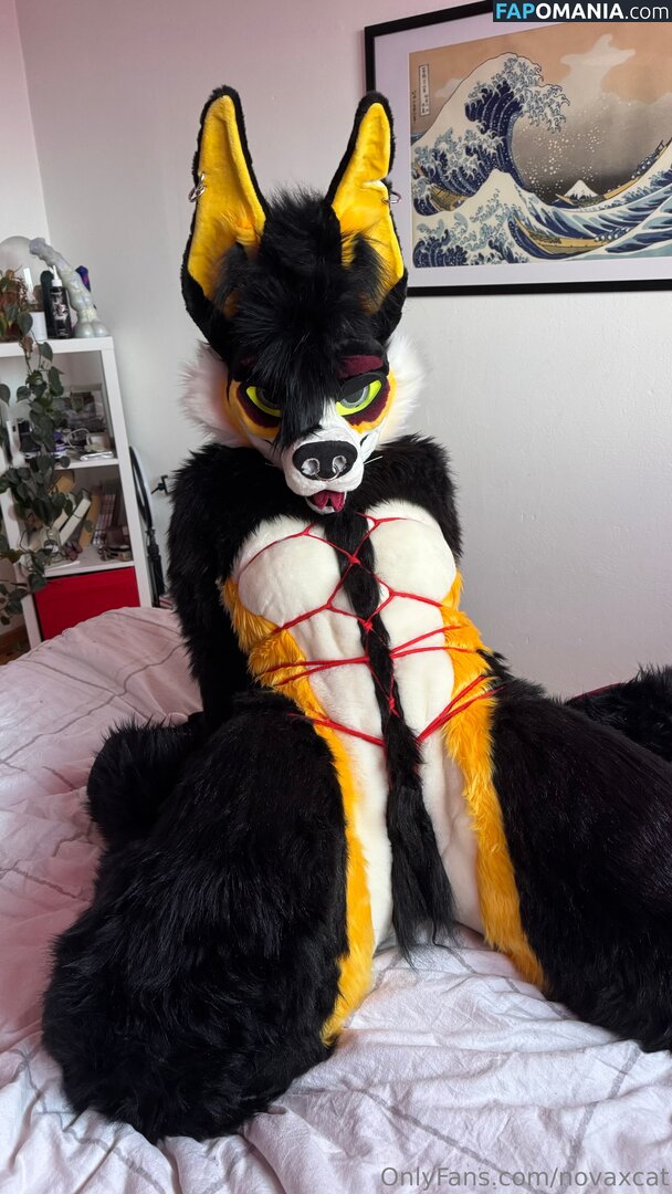 novaxcat / novaxxcat Nago OnlyFans  Przeciekłe zdjęcie #2