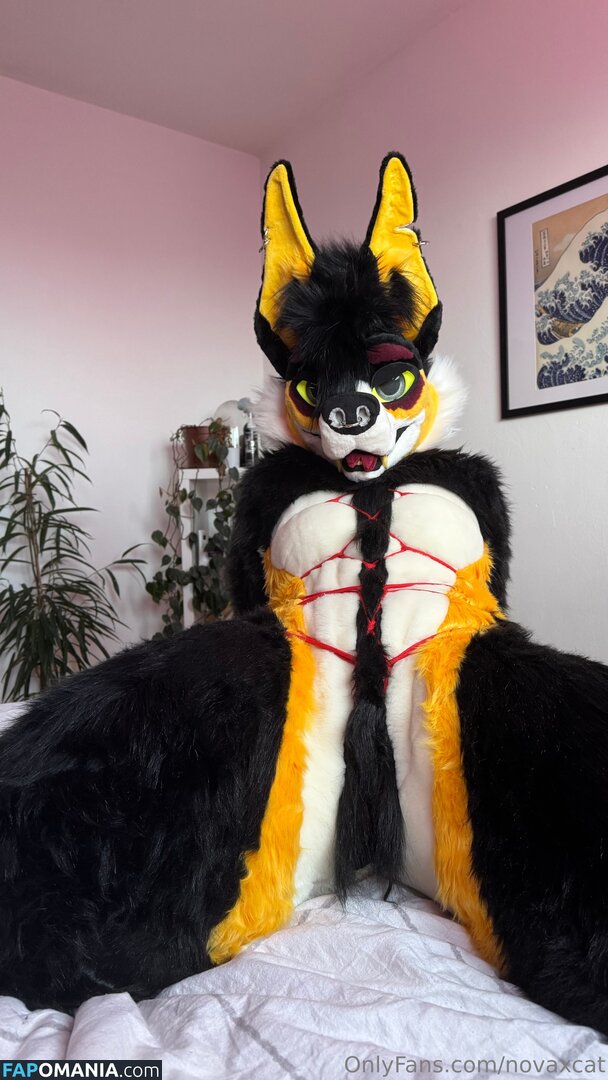 novaxcat / novaxxcat Nago OnlyFans  Przeciekłe zdjęcie #3