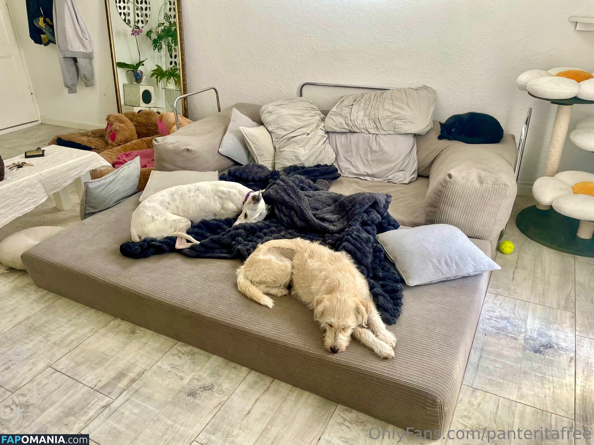 panteritafree Nago OnlyFans  Przeciekłe zdjęcie #6