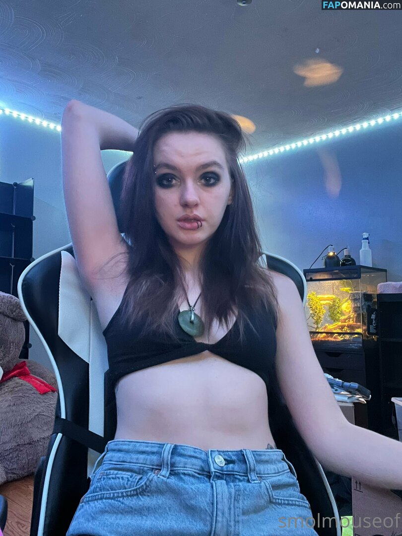 smolmouse8 / smolmouseof Nago OnlyFans  Przeciekłe zdjęcie #46