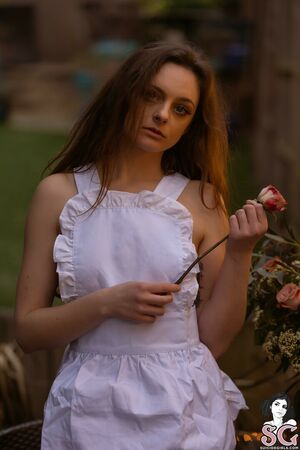 Sophiestonem