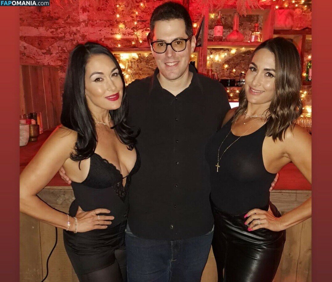 Nikki Bella & Brie Bella / The Bella Twins / thenikkibella Nago OnlyFans  Przeciekłe zdjęcie #202