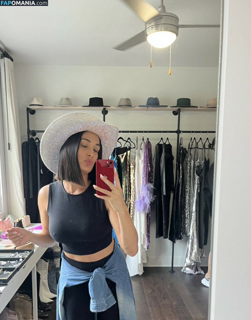 Nikki Bella & Brie Bella / The Bella Twins / thenikkibella Nago OnlyFans  Przeciekłe zdjęcie #262