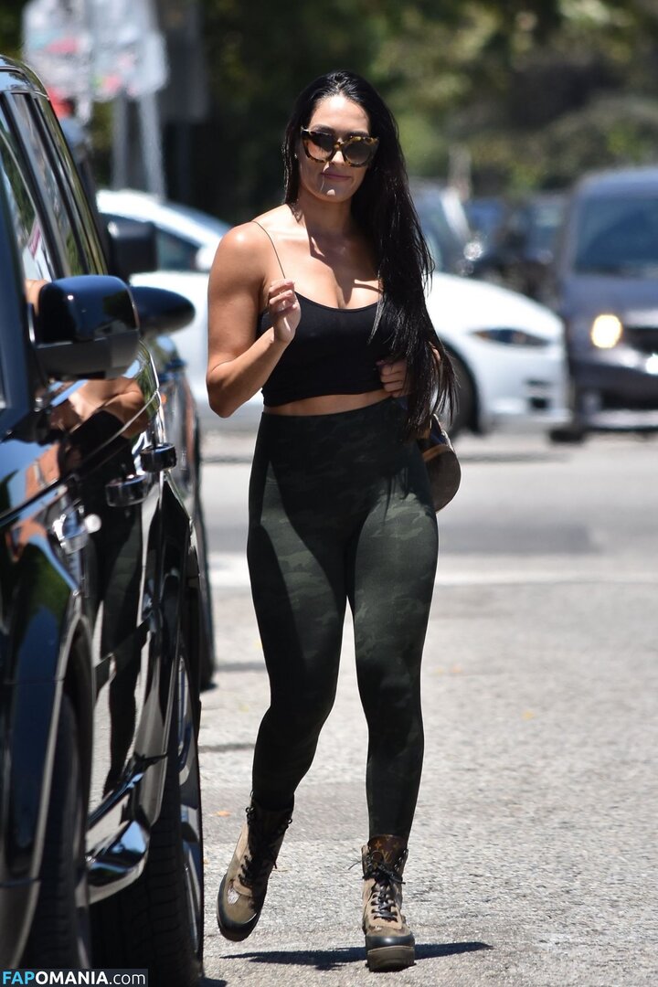 Nikki Bella & Brie Bella / The Bella Twins / thenikkibella Nago OnlyFans  Przeciekłe zdjęcie #409