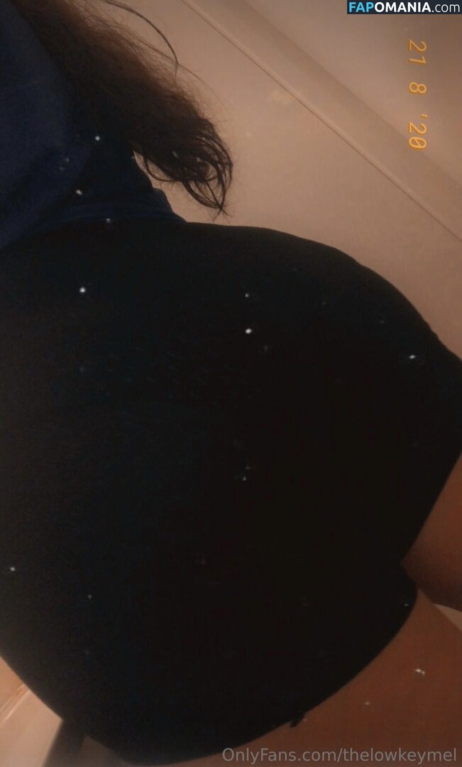 TheLowkeyMel / theofficiallmel Nago OnlyFans  Przeciekłe zdjęcie #7
