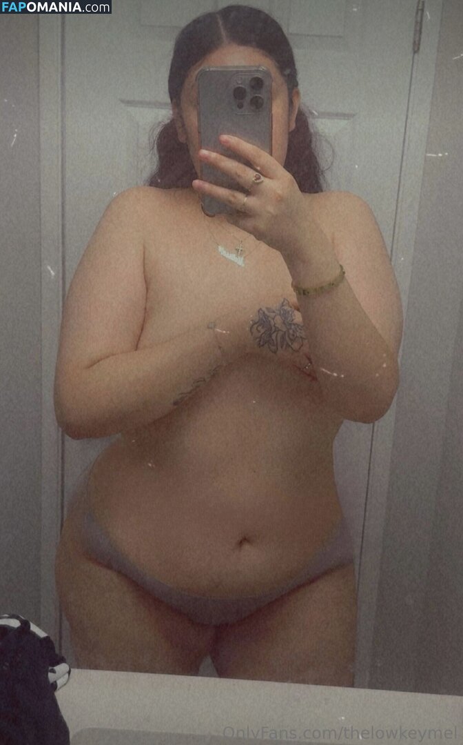 TheLowkeyMel / theofficiallmel Nago OnlyFans  Przeciekłe zdjęcie #12