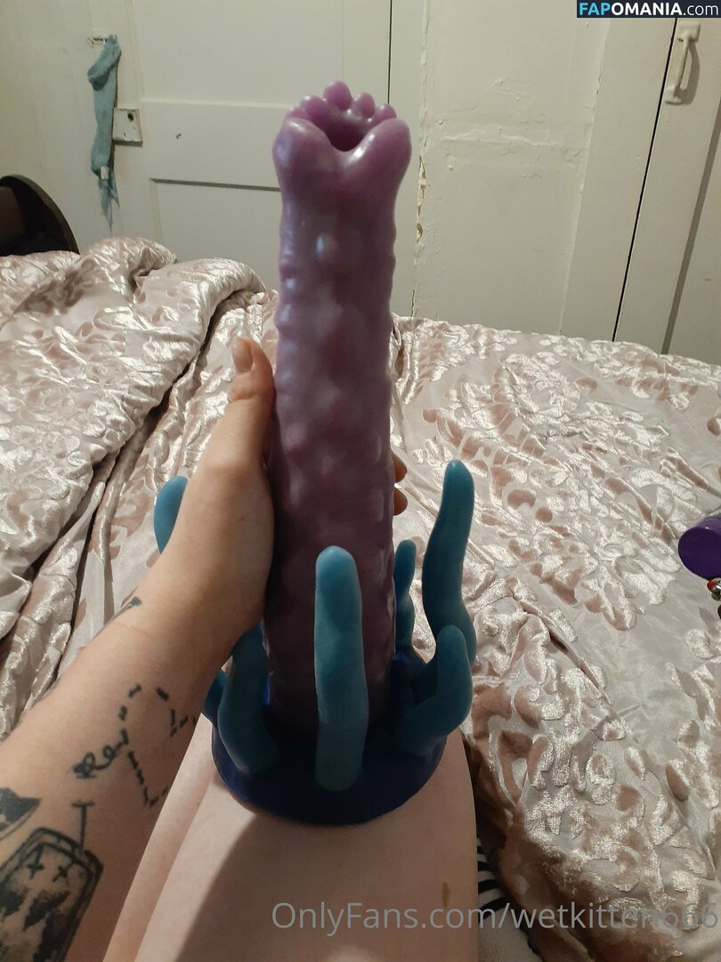 kitty.valentine.92372 / wetkitten666 Nago OnlyFans  Przeciekłe zdjęcie #13