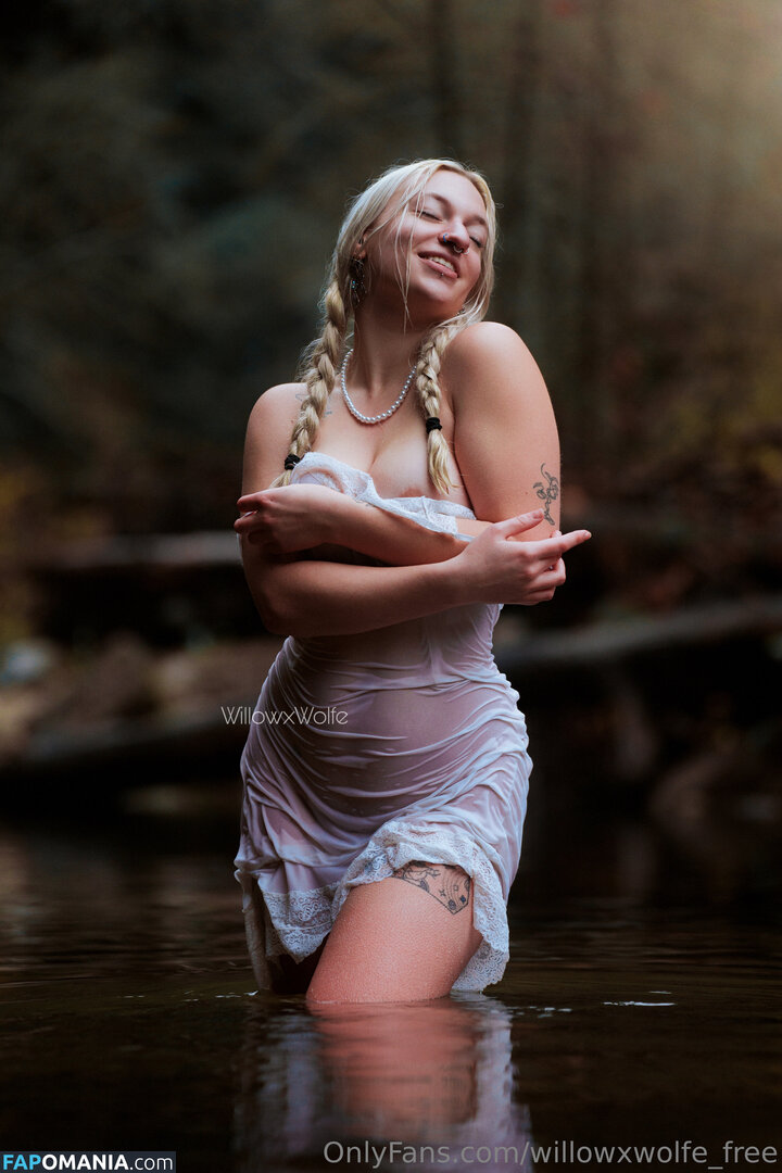 willowxwolfe / willowxwolfe_free Nago OnlyFans  Przeciekłe zdjęcie #7
