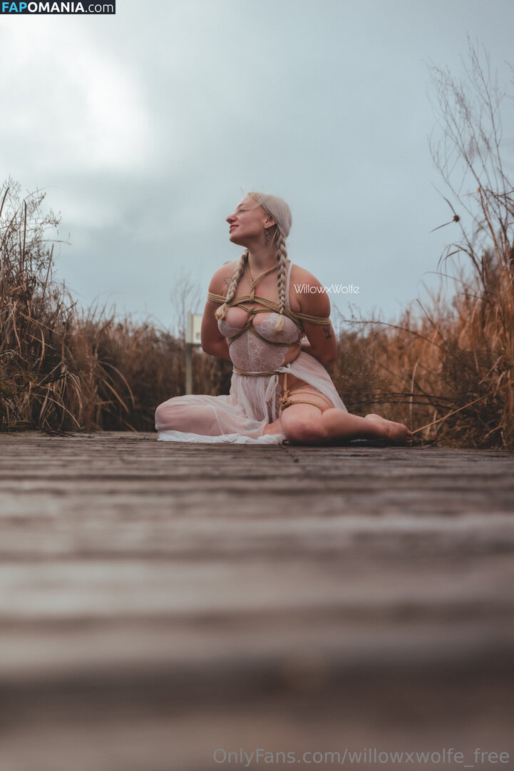 willowxwolfe / willowxwolfe_free Nago OnlyFans  Przeciekłe zdjęcie #11