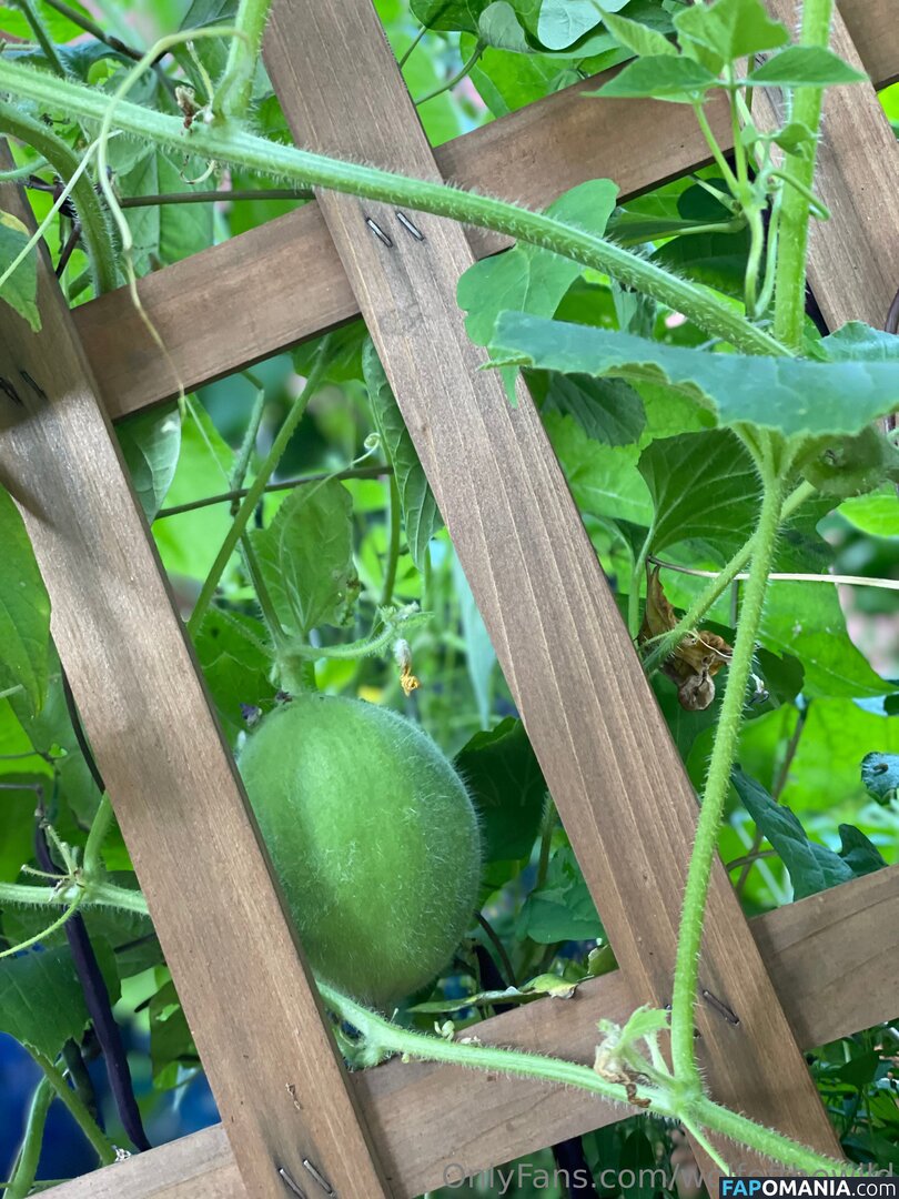 wolfofthewild / wolfofthewildd Nago OnlyFans  Przeciekłe zdjęcie #8