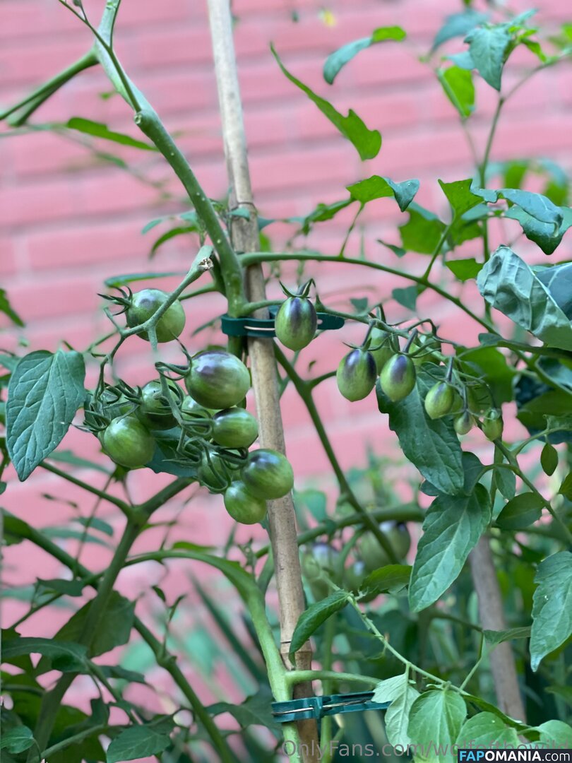 wolfofthewild / wolfofthewildd Nago OnlyFans  Przeciekłe zdjęcie #9