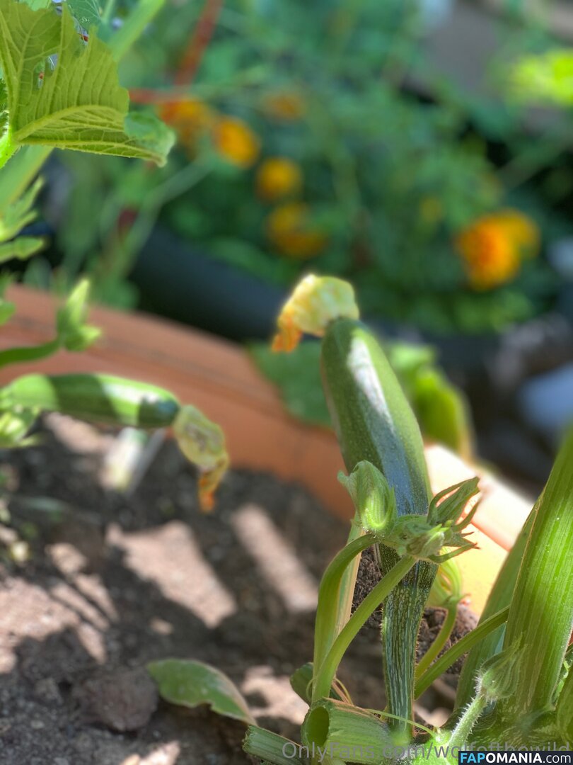 wolfofthewild / wolfofthewildd Nago OnlyFans  Przeciekłe zdjęcie #13