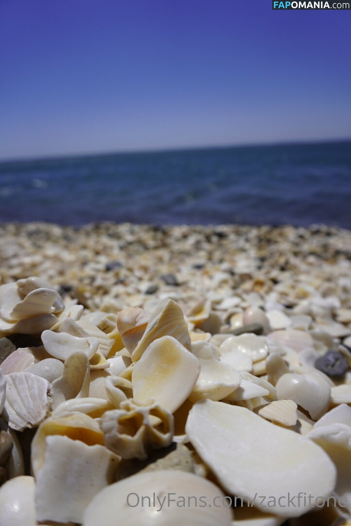 zackfitone Nago OnlyFans  Przeciekłe zdjęcie #15