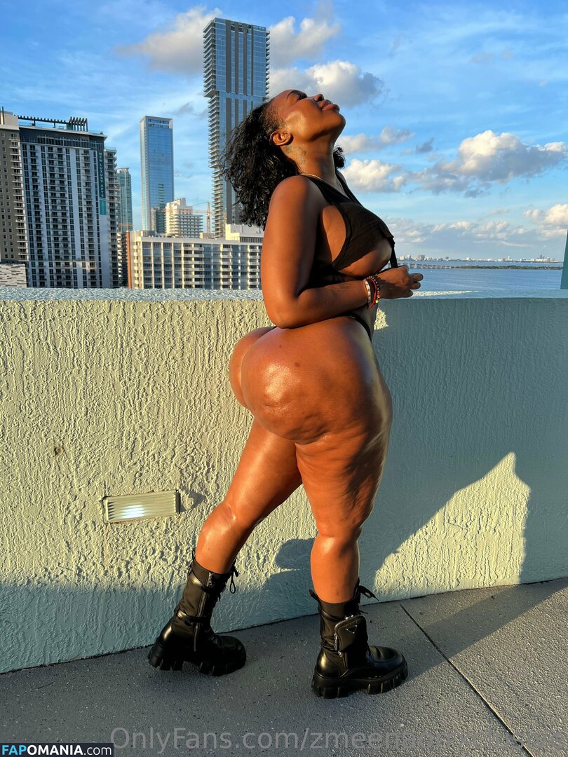 zmeenaorr / zmeenaorrxclusive Nago OnlyFans  Przeciekłe zdjęcie #12