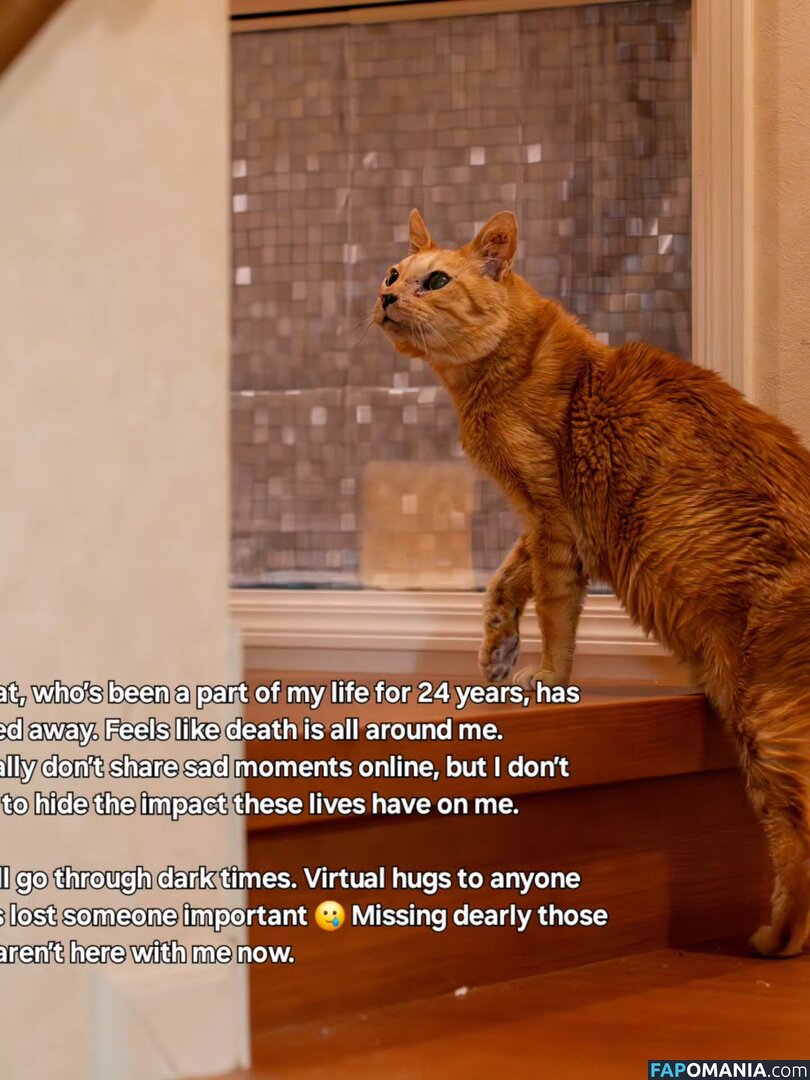 Zumi / zestyzumi Nago OnlyFans  Przeciekłe zdjęcie #120